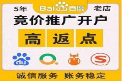 案例分析：SEM关键词优化技巧